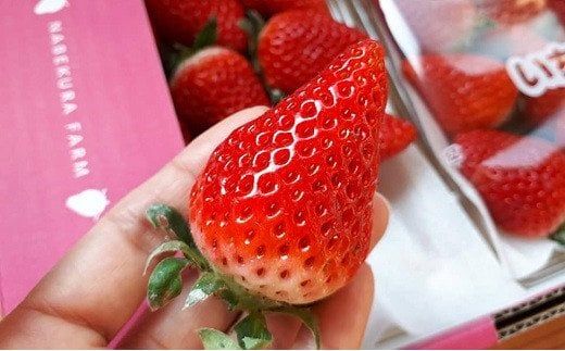 いちご 大分県ブランドいちご「ベリーツ」大粒（280g×2パック） ベリーツ 苺 イチゴ 【先行予約】0B3-08