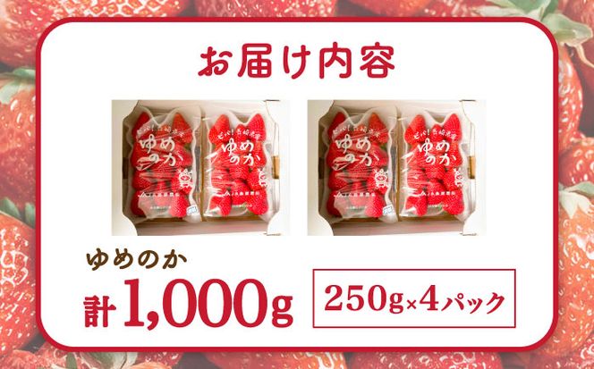 【2025年1月〜発送】いちご ゆめのか 250g × 4パック / イチゴ 苺 果物 フルーツ / 南島原市 / JA島原雲仙東南部基幹センター [SAC008]