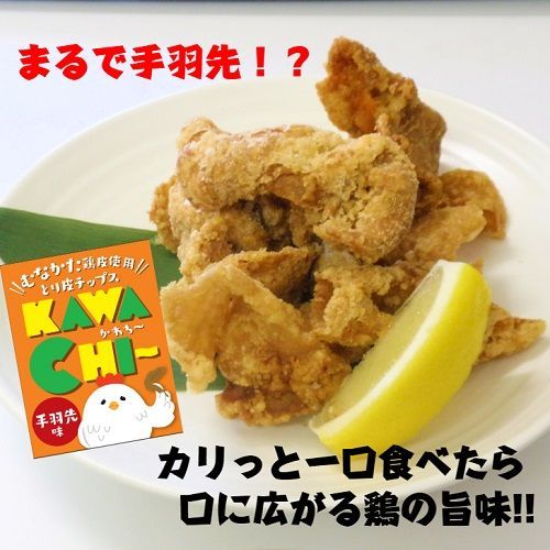 むなかた鶏加工品2点セット（とり皮チップス・やわらか炭火焼）【道の駅】_HA0772