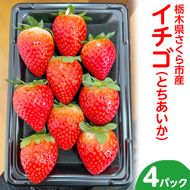 〈数量限定〉【先行予約】さくら市産イチゴ（とちあいか）290g×4パック【先行予約 栃木県 果物 くだもの フルーツ 苺 いちご】 ※2024年12月下旬～2025年3月下旬頃に順次発送予定