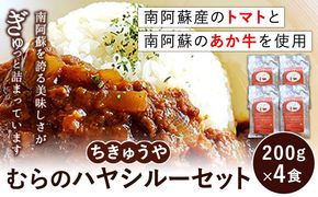 ちきゅうや「むらのハヤシルー」 200g×4食 セット 計800g 《30日以内に出荷予定(土日祝除く)》 熊本県 南阿蘇村 送料無料 ハヤシルー---sms_fckyhys_30d_r7_13000_800g---