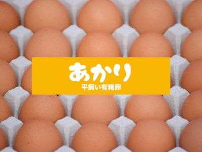 [平飼い有精卵30個] 濃厚な黄身が特徴 ワタナベファームのおてんば長女【平飼い有精卵あかり】