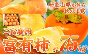 ＊先行予約＊【ご家庭用訳あり】 和歌山 秋の味覚 富有柿 約7.5kg 株式会社魚鶴商店《2026年11月中旬-12月上旬頃出荷》和歌山県 日高町 柿 富有柿 フルーツ---wsh_uot197_11c12j_25_23000_75---