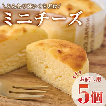 ＜お試し用＞濃厚チーズケーキ (計5個) チーズケーキ チーズ スイーツ アイス 冷凍 お菓子 おやつ 焼き菓子 お取り寄せい 大分県 佐伯市【AJ74】【 (有)ケーキ大使館クアンカ・ド－ネ】