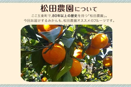 みかん ご家庭用『松田農園』ご家庭用みかん 約10kg(S-2Lサイズ) たっぷり 【日付指定不可】 予約受付中 フルーツ 秋 旬 約10kg 熊本県玉名郡玉東町『松田農園』 こだわり ミカン！ちょこっと 訳あり《11月上旬-1月下旬頃より順次出荷》---sg_wmmikan_ak111_r7_10500_10kg---