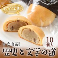 歴史と文学の道 (計10個) 小豆 スイーツ スウィーツ 菓子 焼き菓子 和菓子 おやつ 詰め合わせ セット 個装 大分県 佐伯市【ER009】【(株)古川製菓】