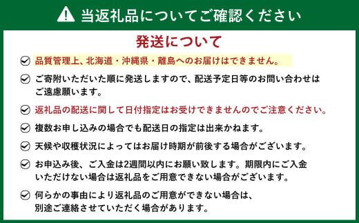 【予約受付・3回定期便】あまおう贅沢セット No2【2025年3月上旬～7月下旬発送予定】