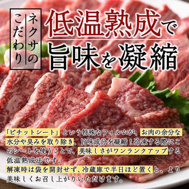 おおいた和牛 カルビ 2種焼肉セット (合計550g・赤身カルビ250g+カルビ300g) 国産 牛肉 肉 霜降り 低温熟成 A4 和牛 ブランド牛 焼肉 BBQ 冷凍 大分県 佐伯市【DH211】【(株)ネクサ】