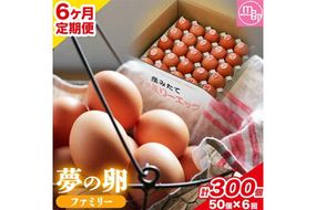 卵 たまご 6ヶ月 定期便 赤玉 夢の卵 ファミリー 50個 計300個《お申込み月翌月から出荷開始》株式会社めぐみ 岡山県 浅口市 送料無料 25個 × 2セット たっぷり 家族 食卓---124_81tei_23_93000_mo6num1_s---