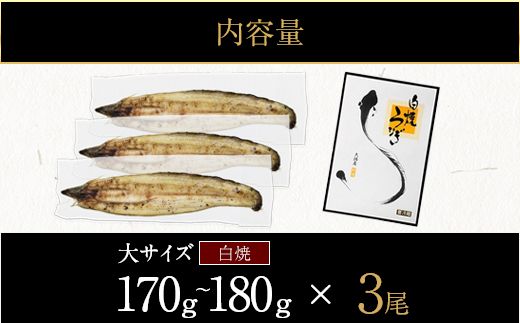 【CF002】鹿児島県大隅産　千歳鰻の白焼鰻「大」3尾【CH160】