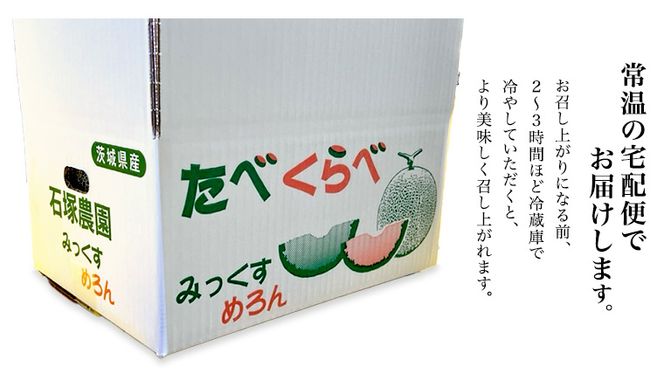 タカミレッド（赤肉）・タカミメロン（青肉）食べ比べ 2色 セット 合計4玉入り（約5kg～7kg）【2026年6月上旬以降発送】  期間限定 産地直送 農家直送 果物 フルーツ メロン タカミ たかみ 貴味 レッド 甘い 4玉 [BU003ya]