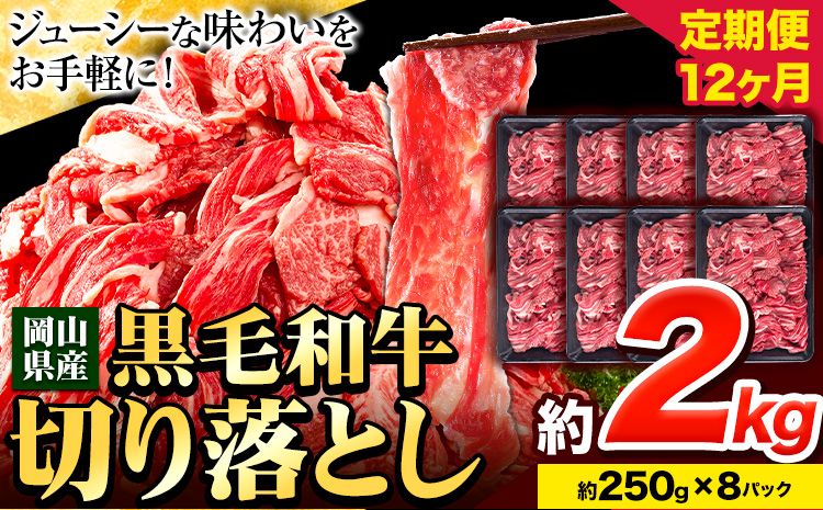 牛肉 肉 黒毛和牛 切り落とし 訳あり 大容量 小分け[定期便] 2kg 1パック 250g 12回 [お申込月の翌月より発送]岡山県産 岡山県 笠岡市 お肉 にく カレー 牛丼 切り落し 切落し---223_f744tei_23_240000_24kg---