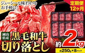 牛肉 肉 黒毛和牛 切り落とし 訳あり 大容量 小分け【定期便】 2kg 1パック 250g 12回 《お申込月の翌月より発送》岡山県産 岡山県 笠岡市 お肉 にく カレー 牛丼 切り落し 切落し---223_f744tei_23_240000_24kg---