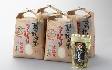【Ｃ-548】よこいファーム 特別栽培米コシヒカリ20㎏コース（黒にんにく付）（頒布会6カ月）［高島屋選定品］