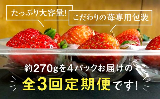 【全3回定期便】【2025年2月〜お届け】農家直送 朝どり新鮮いちご【博多あまおう】約270g×4パック《築上町》【株式会社H&Futures】[ABDG006]