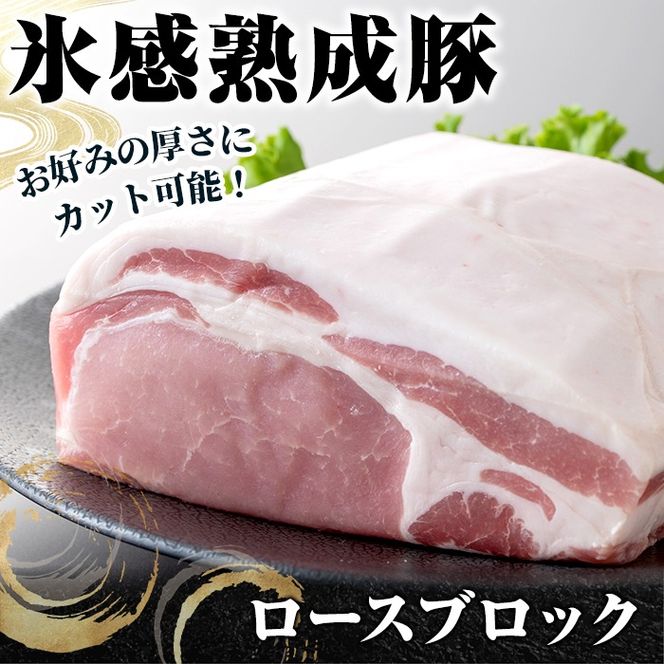 氷感熟成豚ロースブロック(1kg) 肉 豚 豚肉 ロース ブロック ブロック肉【スターゼン】akn031-07