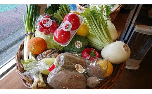 D196 ぶちうま！山口の新鮮お野菜BOX