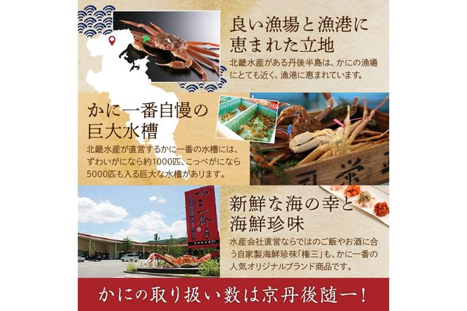 【12月発送】最高鮮度の生きたまま発送！京丹後市産活間人かに　800g～900g大サイズ/北畿水産　HK00176