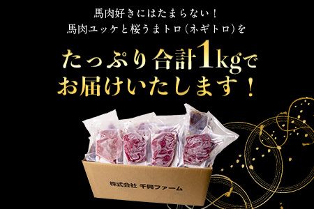 赤身ユッケ桜うまトロセット 計1kg 1000g ユッケ 桜うまトロ(ネギトロ) 千興ファーム 馬肉 冷凍 《60日以内に出荷予定(土日祝除く)》 新鮮 さばきたて 真空パック 肉 熊本県御船町 馬刺し おつまみ---mifune_snk_27_1kg---