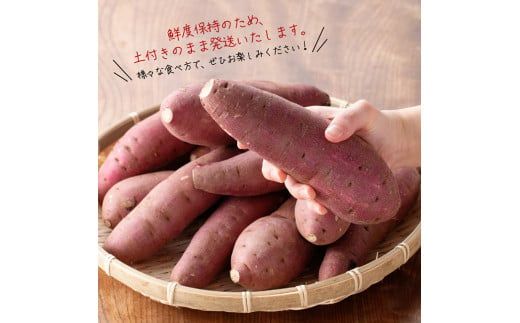 野菜 宮崎県産さつまいも　紅はるか5kg 【 宮崎県産 九州産 いも 芋 サツマイモ 野菜 】☆ [C10005]