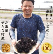 【2025年6月中旬以降から順次発送】【産地直送】北海道産 塩水うに 100g キタムラサキウニ ミョウバン不使用 直送 旬 パスタ 寿司 焼き うに丼 海鮮 せたな町 ふるさと納税