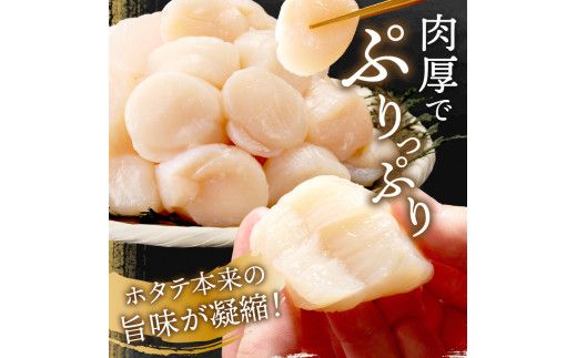 北海道オホーツク海産 ホタテ貝柱 800g 生食用 ( 海鮮 魚介 魚介類 貝 貝類 帆立 ほたて お刺身 刺身 貝柱 海鮮丼 帆立貝柱 人気 ふるさと納税 ホタテ )【037-0007】