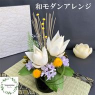 BN016-1 あらゆる植物・野菜・果樹に使用できる広角照射モデル
