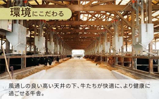 【3回定期便】長崎県産 和牛 肩ロース スライス 500g / 南島原市 / 高田牧場 [SDB008] 