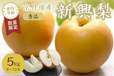 【先行予約／数量限定30】新興梨 秀品 5kg（8～12玉入り）（2024年10月中旬～発送）国産 なし ナシ 梨 2024フルーツ ふるーつ 果物 くだもの 農家応援 生産者応援 SF00011