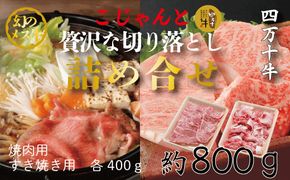 R5-020．幻のメス牛　四万十牛こじゃんと贅沢な詰め合せ(焼肉用・すき焼き用)計800ｇ