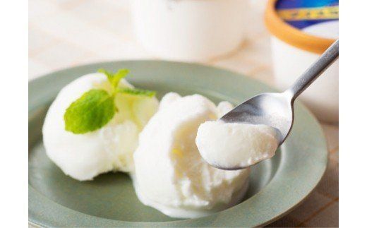 アイスヨーグルトセット 【 アリマン 菓子 デザート 詰め合わせ アイス ヨーグルト 】 [E2903]