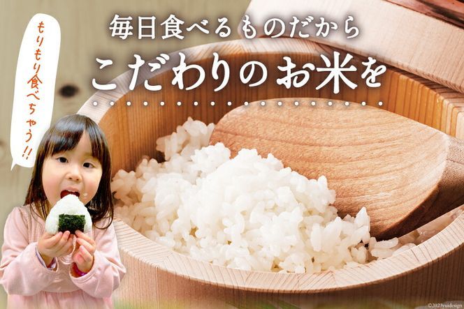 【CF03】米 宮城県産 だて正夢 5kg [気仙沼米穀商業協同組合 宮城県 気仙沼市 20565768] 一等米 ブランド米 白米 精米 ご飯 ごはん コメ こめ 小分け 家庭用