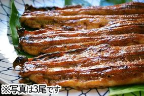 【一度食べたらやみつき！リピート多数 】うなぎ蒲焼4尾セット【D010U】