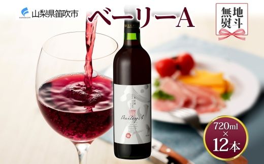 yRJszsnl Ήtx[[A 720ml×12{ 177-4-070