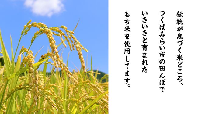 【お餅：三百年続く農家のMochi！】お手軽一口サイズ！レンチン・フライパンで簡単調理！  お餅 もち 年末 餅つき 一口サイズ 焼き餅 きな粉餅 磯辺焼き お雑煮 ぜんざい おやつ [AC34-NT]