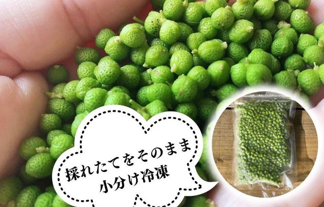 【６月下旬出荷予定】冷凍山椒 凍ってんじゃ ぶどう山椒 500g ( 100g × 5袋 ) 和歌山県産 【みかんの会】 AX279