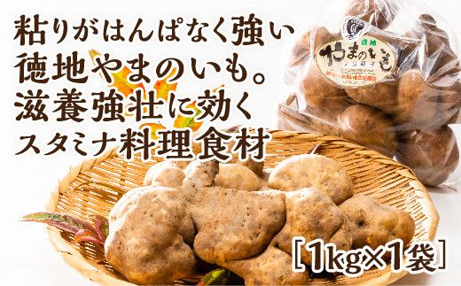 yRRszE059 n܂̂1s܁iƒpj×1