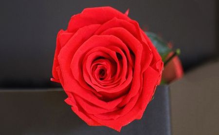 プリザーブドフラワー加工体験レッスン(ご来店型） SWAF008