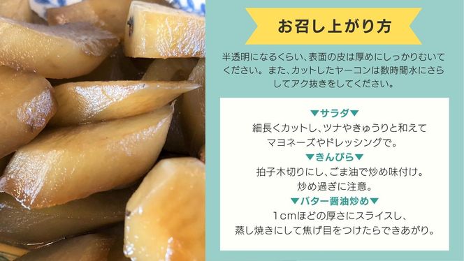 牛久市産 泥付き 「 ヤーコン 」 1.8kg 野菜 健康 健康野菜 食物繊維 根菜 芋 いも イモ [AM124us]