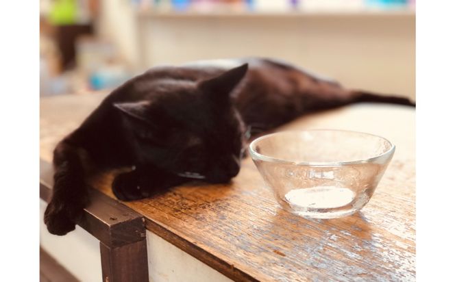 【琉球ガラス工房雫】水玉小鉢１個