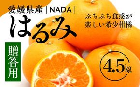 【先行予約】【農家直送】愛媛県産 はるみ 贈答用 4.5kg ｜ 柑橘 蜜柑 みかん ミカン 果物 フルーツ ※2025年1月中旬～2月上旬頃に順次発送予定