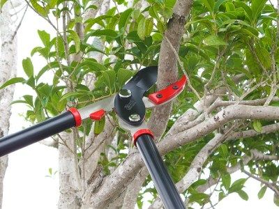 庭木のお手入れに　太枝切鋏500mm（レッド）･剪定鋏・剪定鋸の3点セット【北海道・沖縄・離島　配送不可】