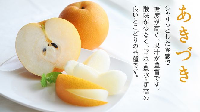 【 JA 北つくば 】 筑西ブランド 認証品 あきづき 10kg 2026年産 先行予約 梨 果物 フルーツ なし ナシ 和梨 秋月 秋月梨 あきづき梨 くだもの デザート 茨城 [AE029ci]