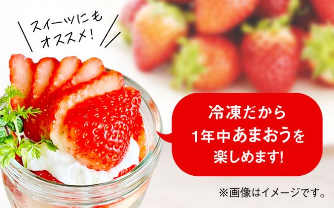 福岡県産【博多冷凍あまおう】約500g×2袋 合計約1kg《築上町》【株式会社H&Futures】[ABDG005]