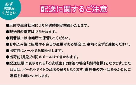 【2024年発送】大容量!山梨県産 旬の桃4kg以上 (2kgx2箱)ふるさと納税 先行予約 SWAB001