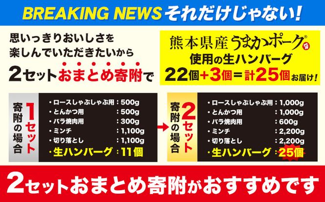 数量限定★生産者応援★ 豚肉 小分け バラエティ セット うまか ポーク しゃぶしゃぶ 切り落とし 豚ロース バラ 豚バラ 豚バラ肉 スライス 4.6kg 4600g 4kg 以上 真空 お楽しみセット 不揃い 数量限定 簡易包装 冷凍配送 《30日以内に出荷予定(土日祝除く)》---fn_fozpfs_23_30d_15000_4600g---