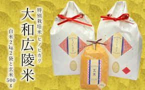 【新米先行受付】【令和6年度産】【10月下旬より順次発送予定】特別栽培米　奈良県広陵町産ヒノヒカリ　白米2kg×2　玄米500gセット// お米 ひのひかり お米 広陵町