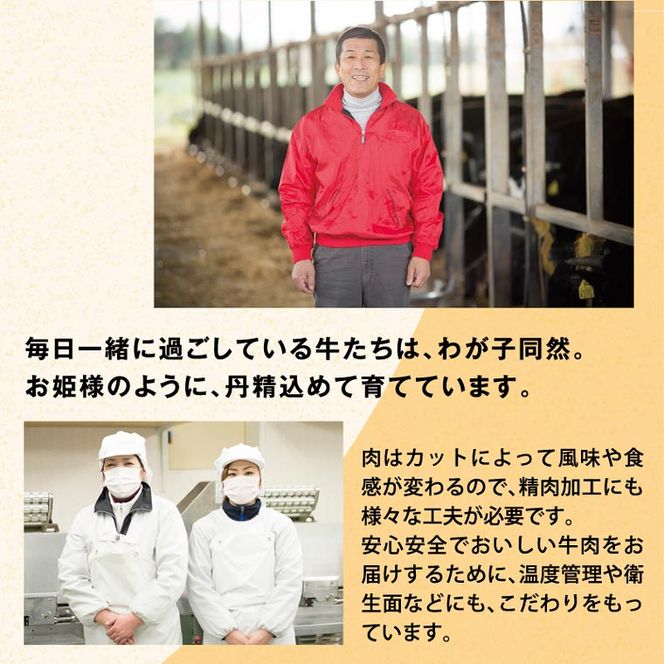 B-07 瀬戸の姫（焼肉用）《45日以内に出荷予定(土日祝除く)》