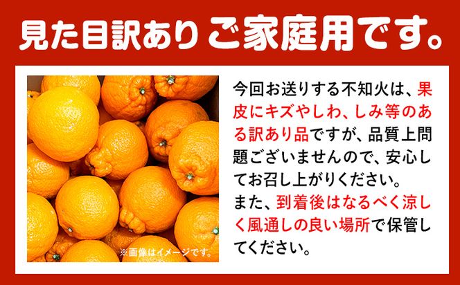 【ご家庭用】紀州有田産不知火(しらぬひ) 約8.5kg 魚鶴商店 《2月上旬-3月下旬頃出荷》 和歌山県 日高町 不知火 みかん 柑橘 果物 フルーツ 送料無料---wsh_utshkas_ak2_23_20000_8500g---