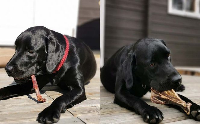 森のジビエ for PET 鹿あばら＆肩甲骨ジャーキーセット【中型・大型犬向け】ペットフード 犬 A-JK-A14A